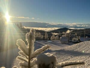 2181a727-9855-4592-ba20-13de3eb2a6a6-2