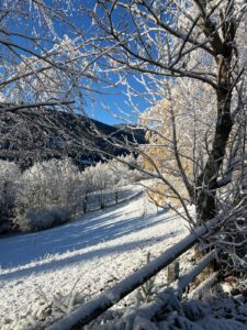 864b6ada-7df2-45f5-ac52-9cb6a9caeb81-2