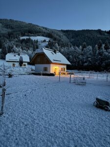 9c0a7569-727a-424b-9e30-a5741d4fc421-2