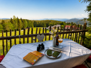 Naturhaus von Ebner 1822 mit privater Terrasse und Naturteich in Kärnten