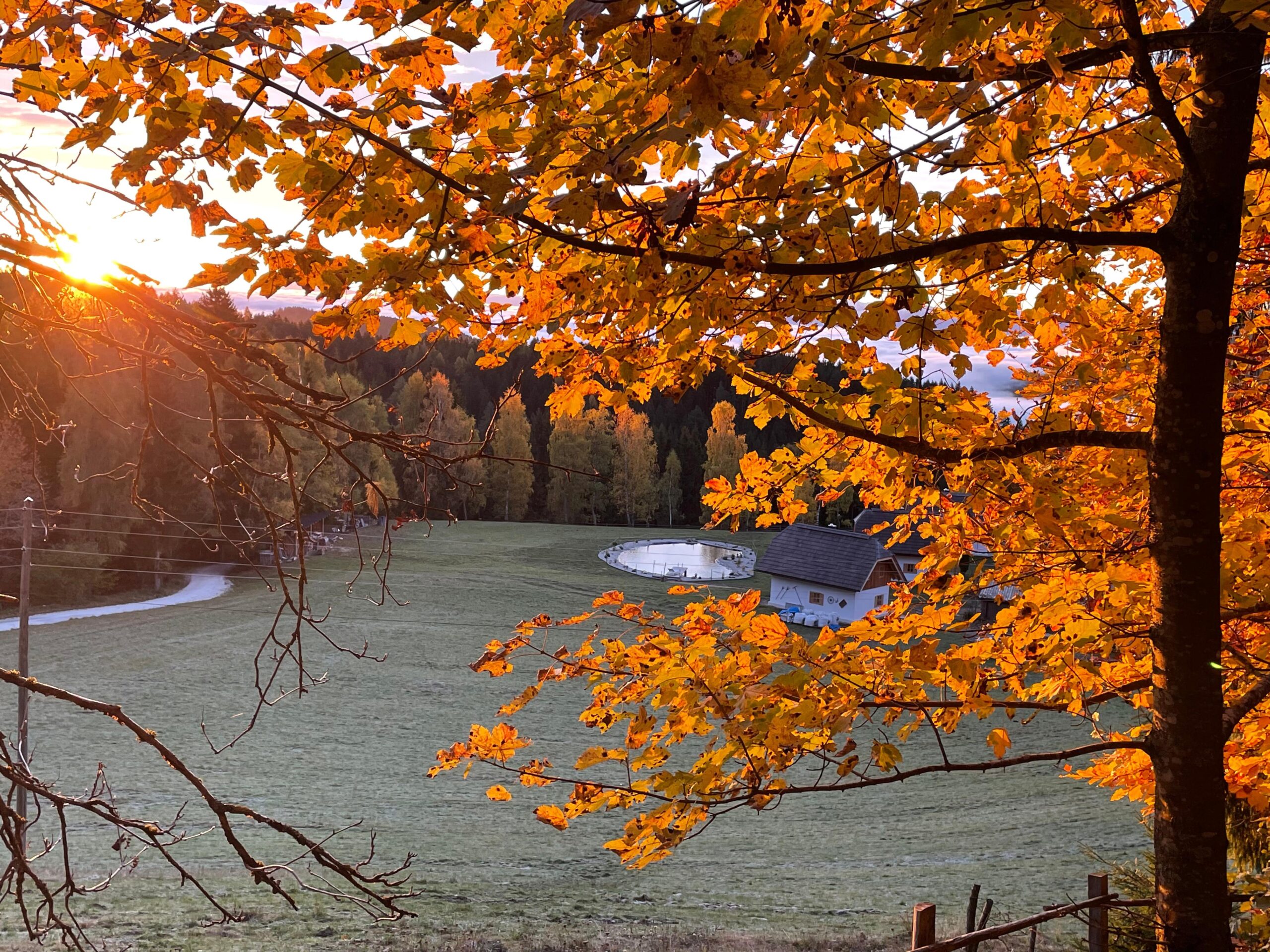 Autumnal atmosphere at Ebner 1822 in the Carinthian Nock Mountains