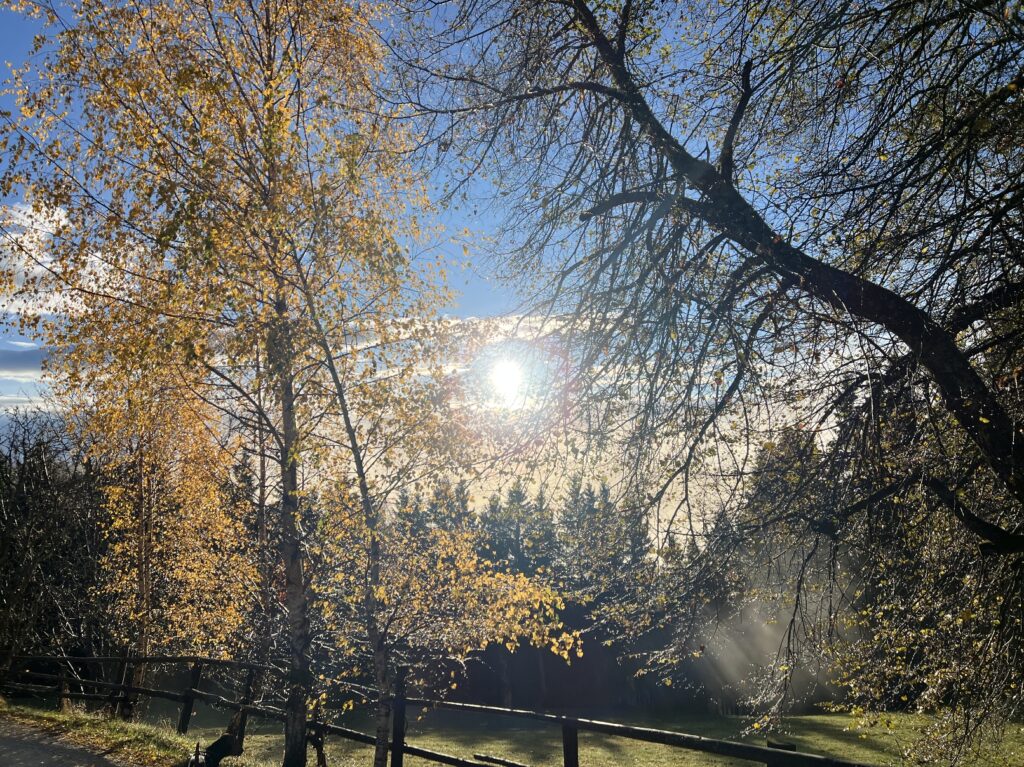 Autumn holiday in Carinthia at Ebner 1822