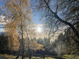 Autumn holiday in Carinthia at Ebner 1822